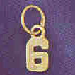 14K GOLD NUMERAL CHARM - #6 #9512