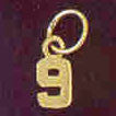 14K GOLD NUMERAL CHARM - #9 #9512