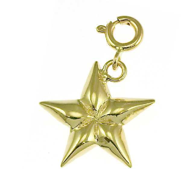 14K GOLD CHARM - STAR #5643