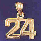 14K GOLD NUMERAL CHARM - 24 #9511