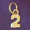 14K GOLD NUMERAL CHARM - #2 #9512