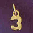14K GOLD NUMERAL CHARM - #3 #9512