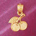 14K GOLD FRUIT CHARM - CHERRY #6872