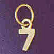 14K GOLD NUMERAL CHARM - #7 #9512