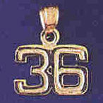 14K GOLD NUMERAL CHARM - 36 #9511
