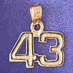 14K GOLD NUMERAL CHARM - 43 #9511