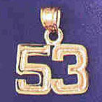 14K GOLD NUMERAL CHARM - 53 #9511