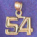 14K GOLD NUMERAL CHARM - 54 #9511