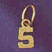 14K GOLD NUMERAL CHARM - #5 #9512